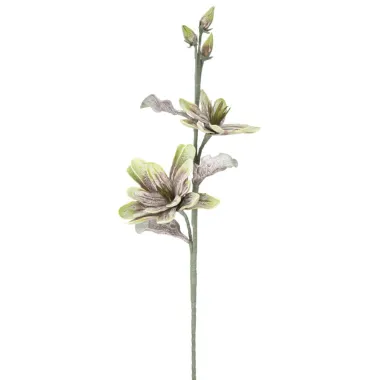 MAGNOLIA X2 Zielony 25X98 cm min 12